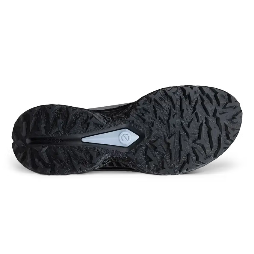 ECCO 26' Men's Biom Lace C5 Golf Shoes - Steel