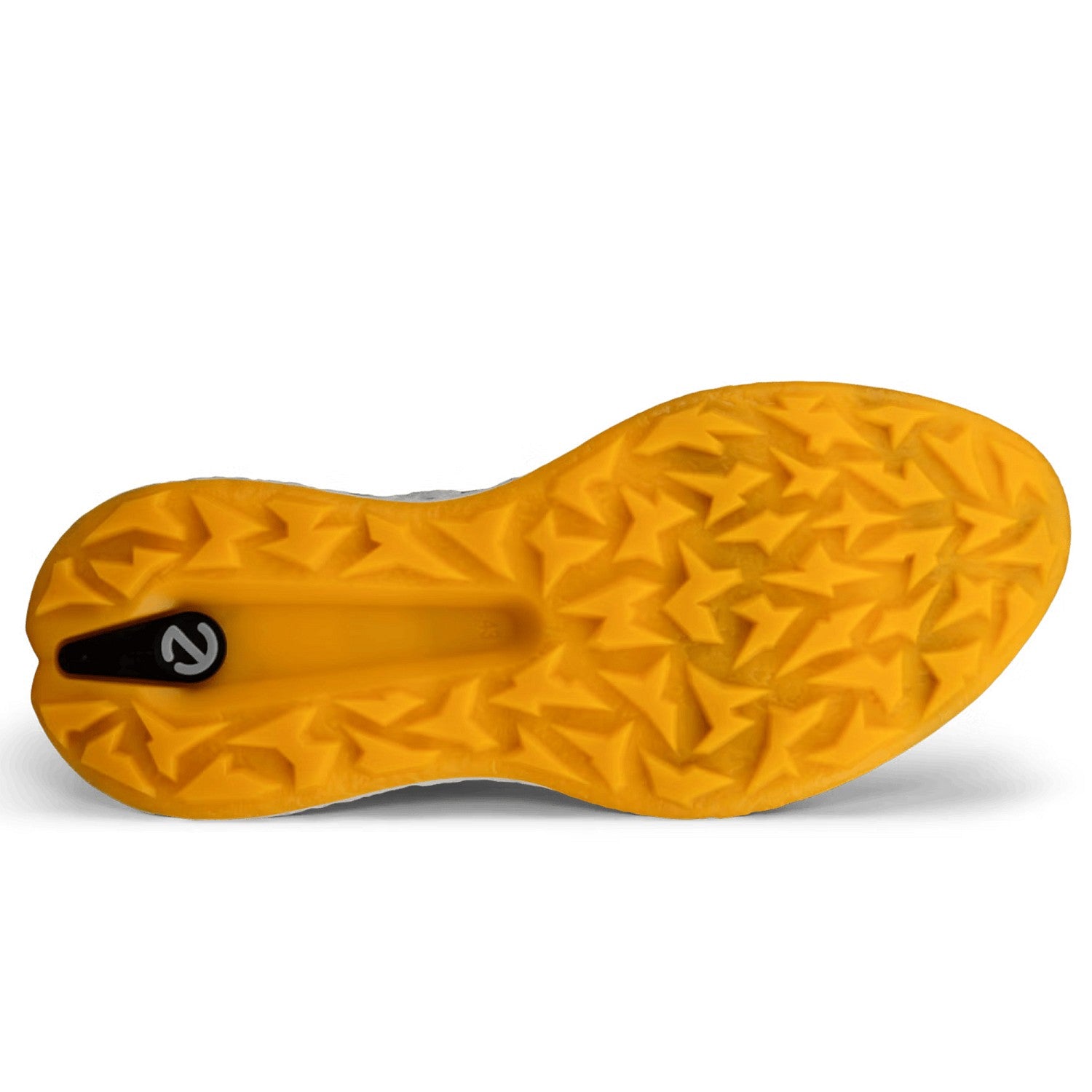 ECCO Golf Mens Biom H5 Golf Shoes - Wild Dove