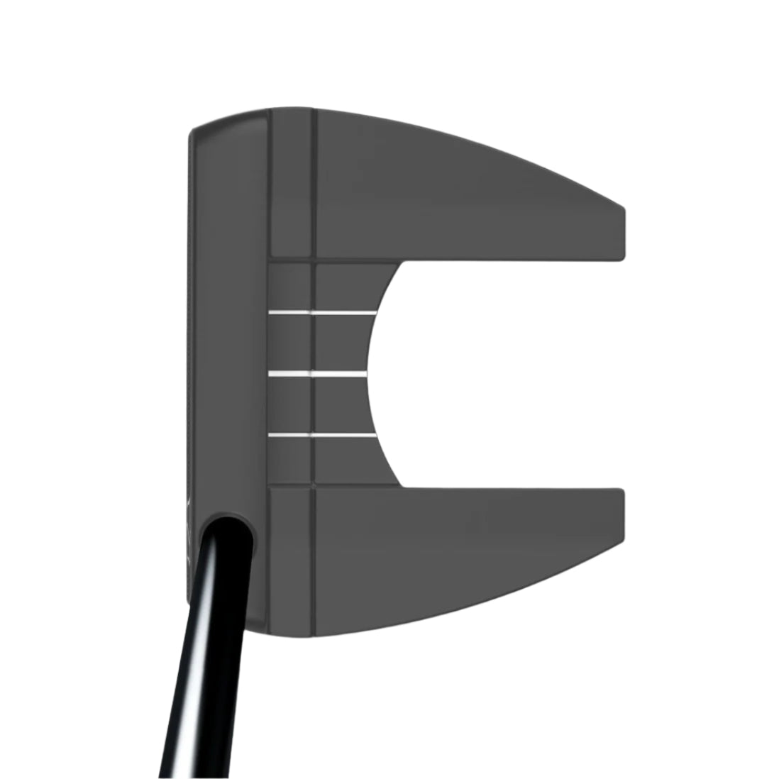 2024-Wilson-Women's-Infinite-Bucktown-1