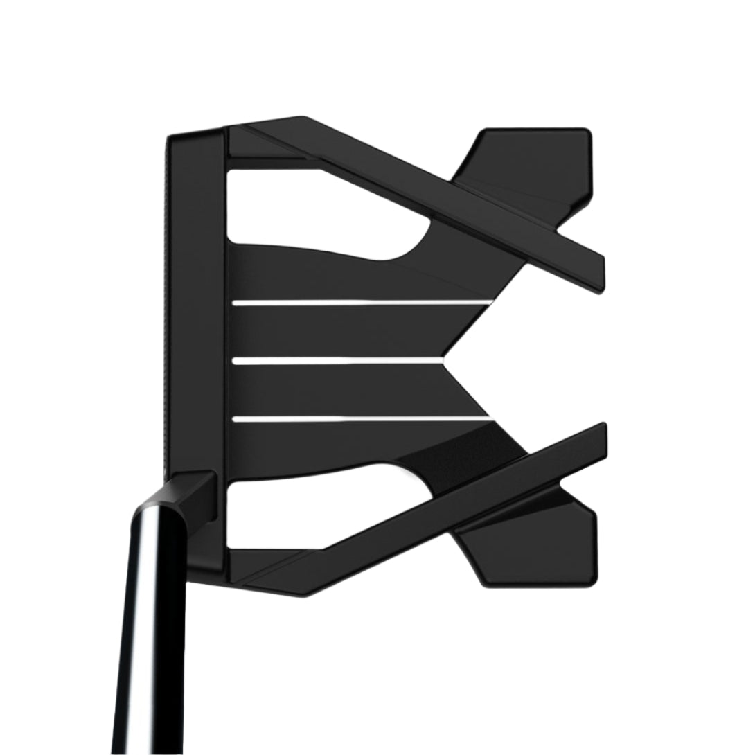 2024-Wilson-Infinite-Buckingham-1