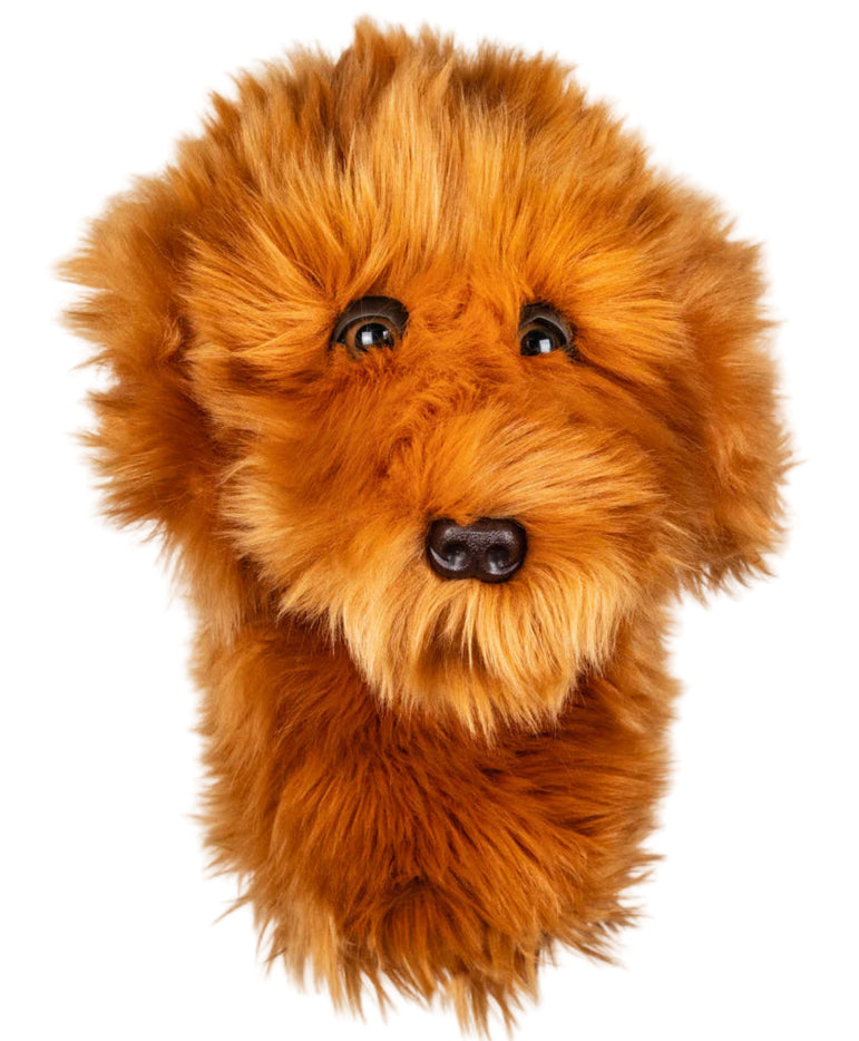 Daphne-Animal-Head-cover-doodle