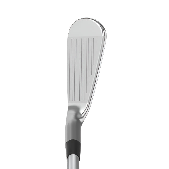 Mizuno Pro 241 Irons at Golf Hq NZ