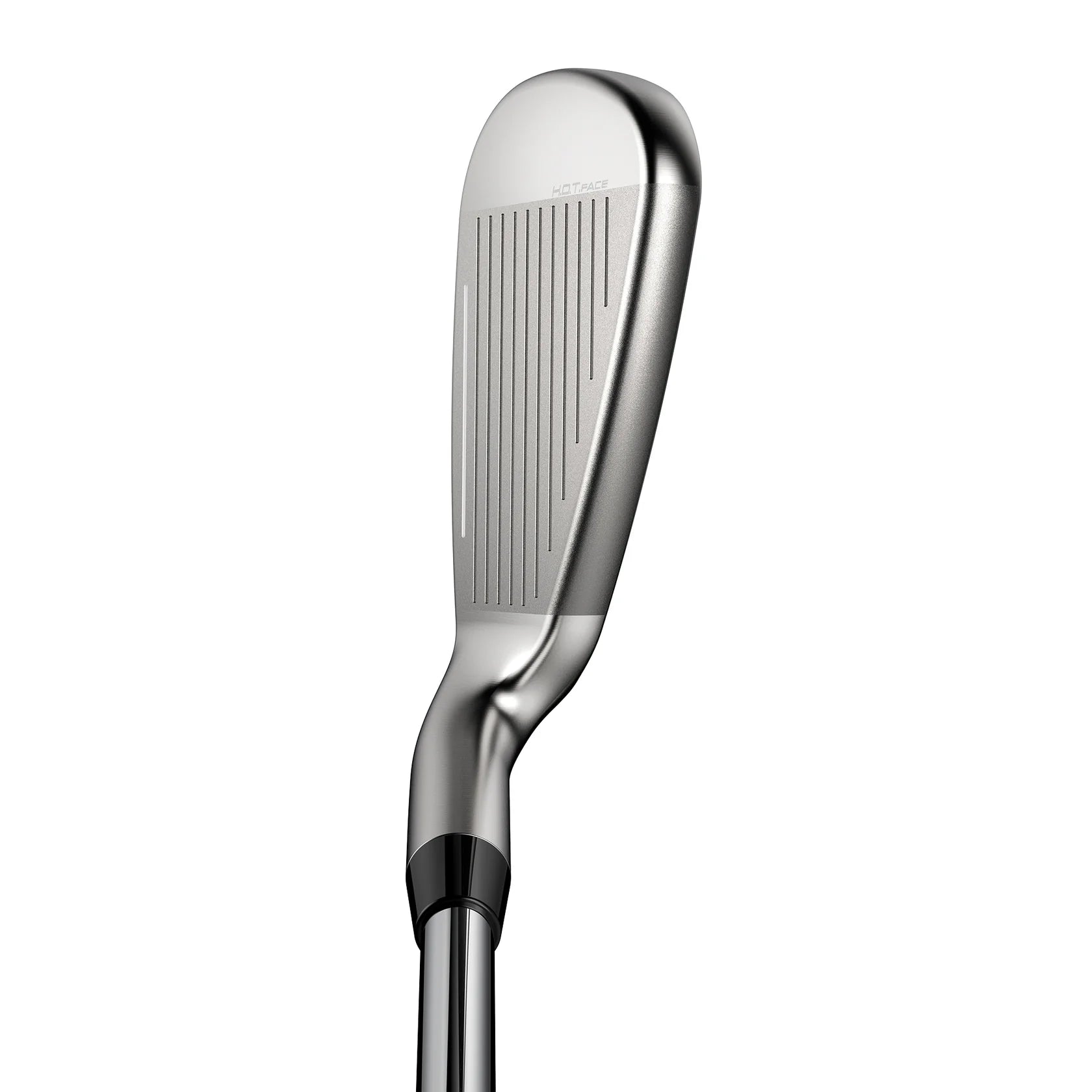 Cobra DS ADAPT Max Steel Irons